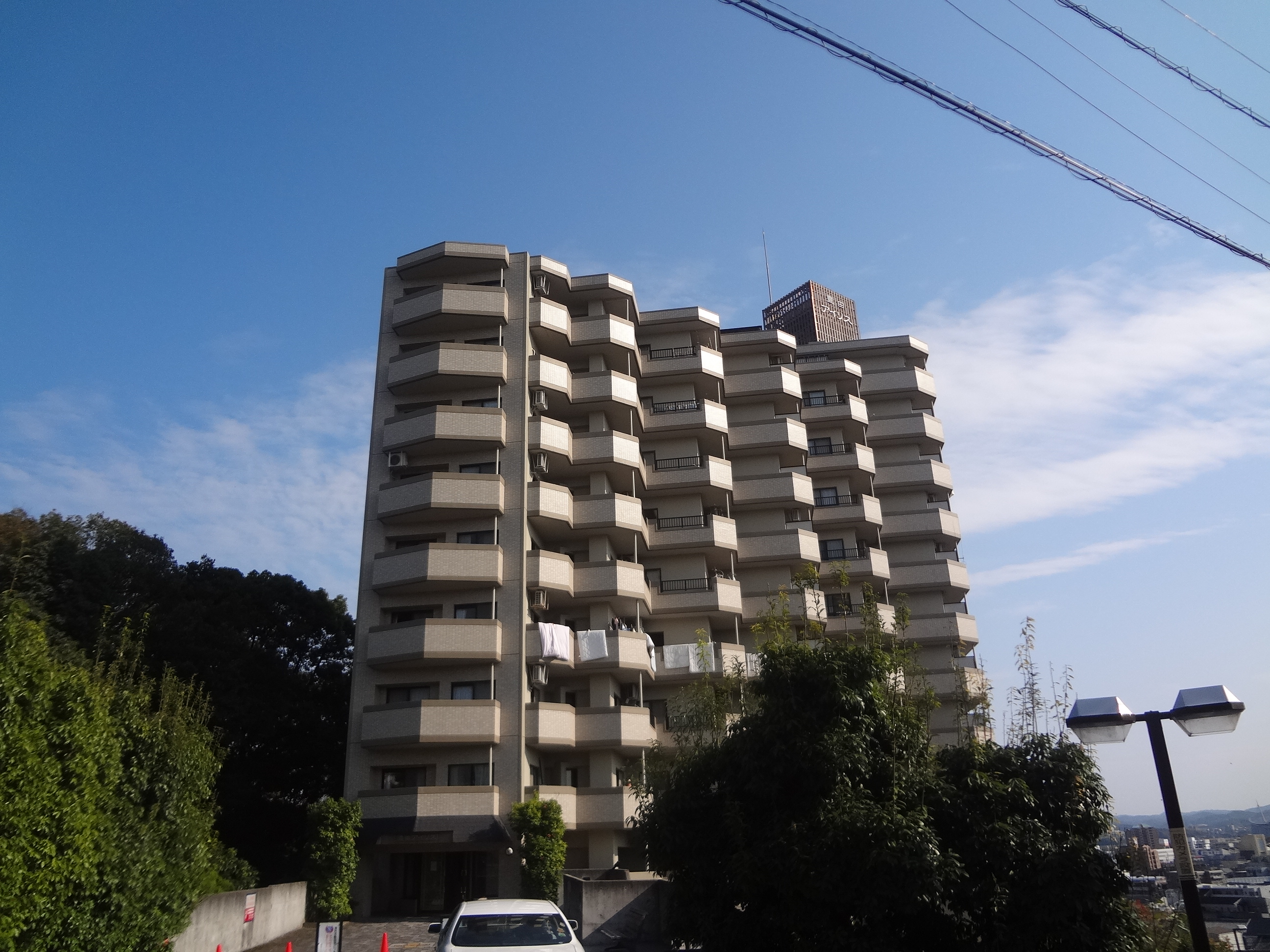 豊田アイリス