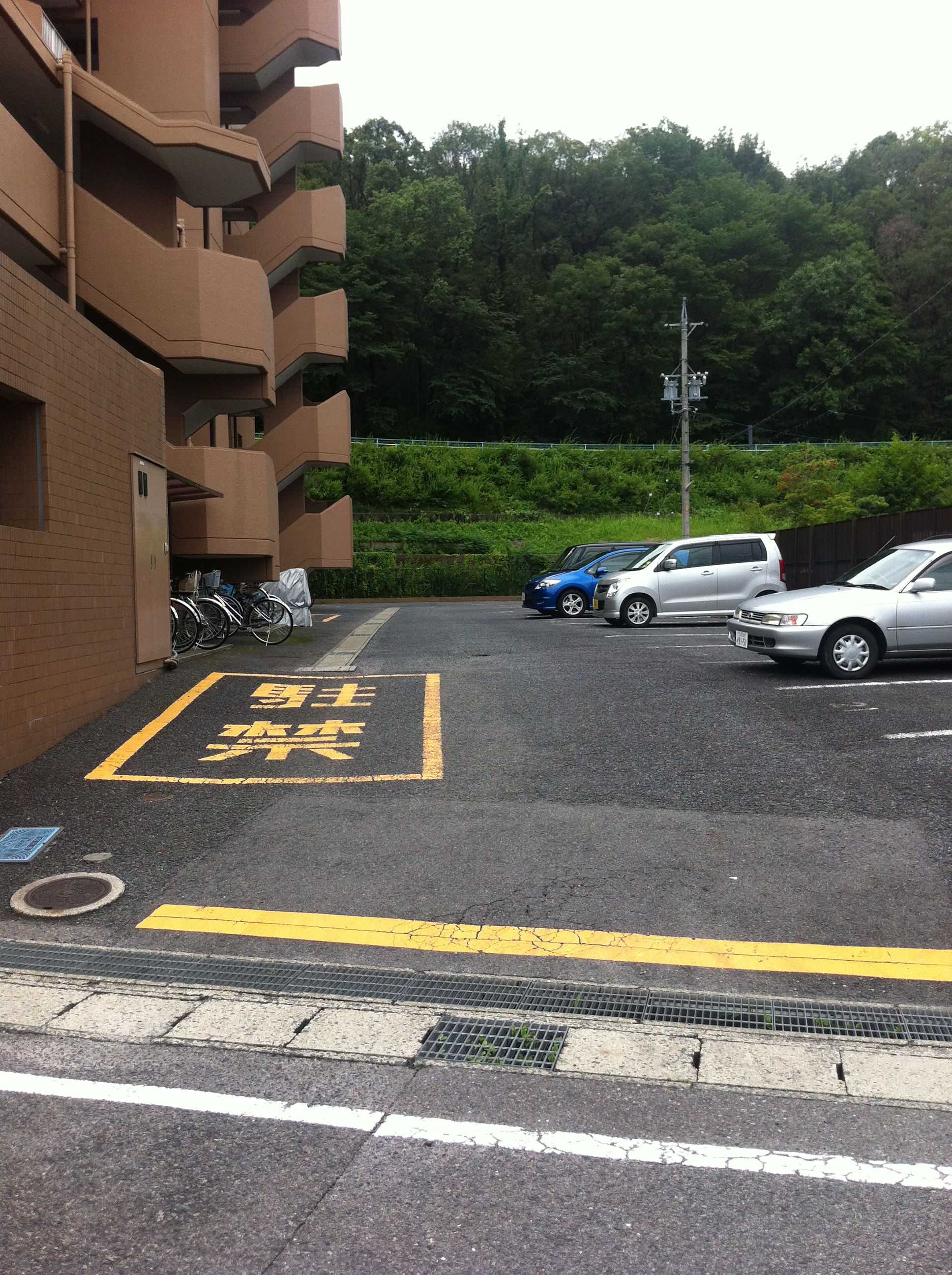 グレイス梅坪 画像4