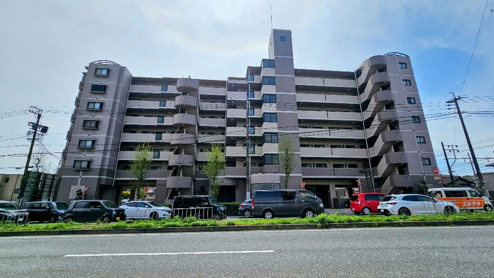 ネオチッタ住吉ステーション 画像1