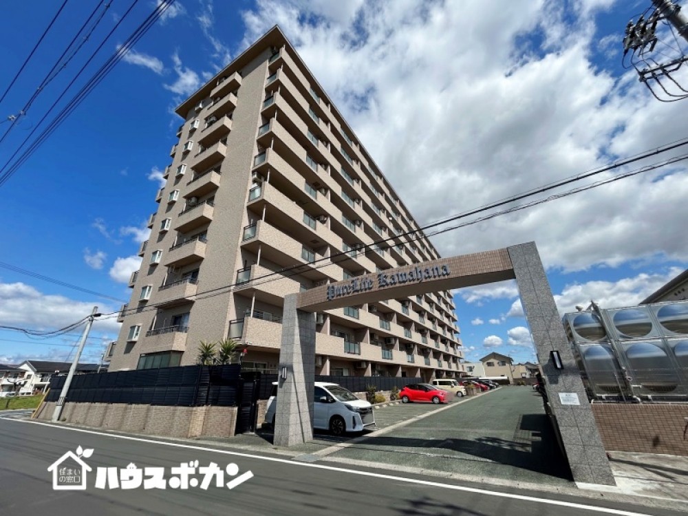 ピュアライフ川花 画像1