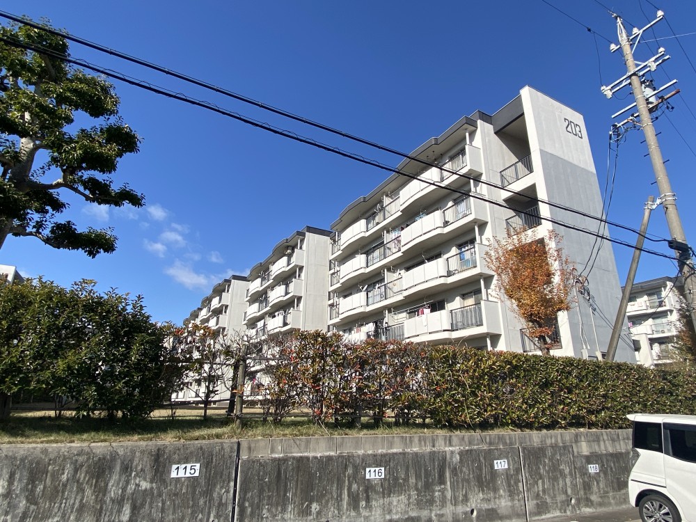 つつじが丘団地203棟