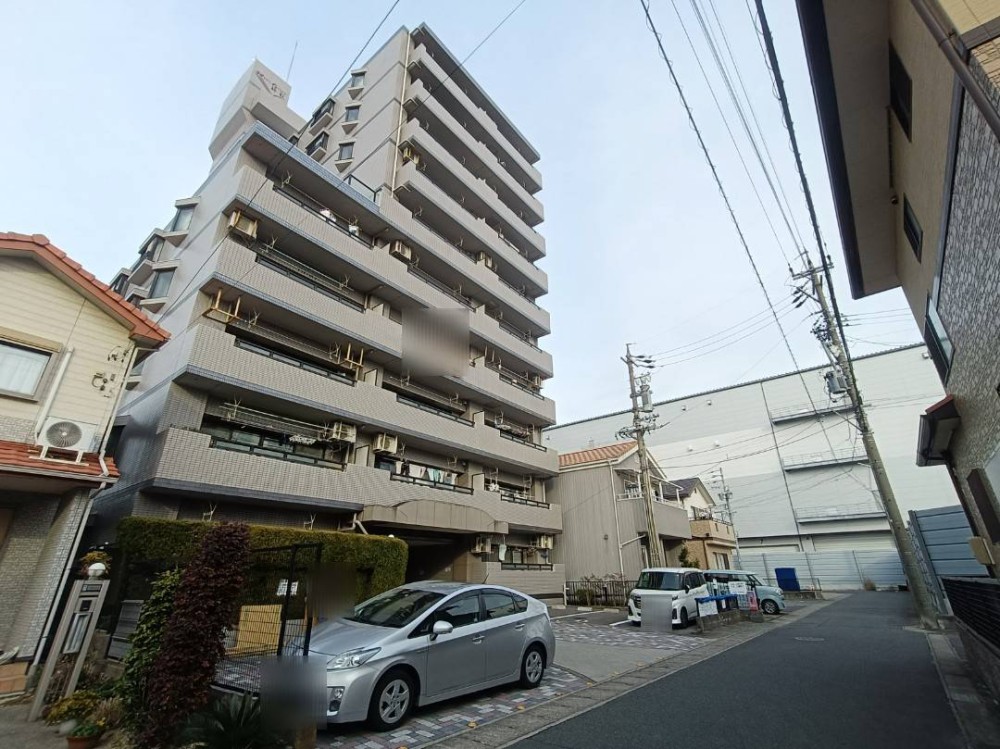 モアグレース枠杁 画像5