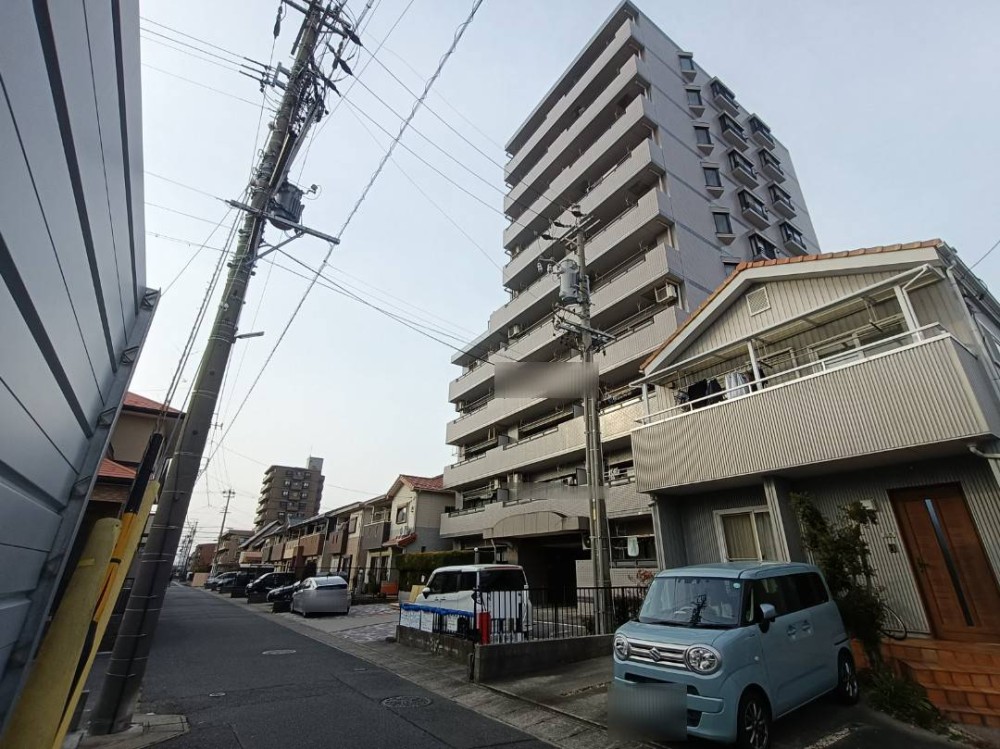モアグレース枠杁 画像6