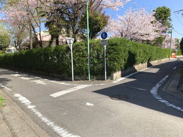 前面道路
