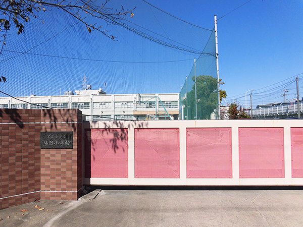 柴田小学校 画像