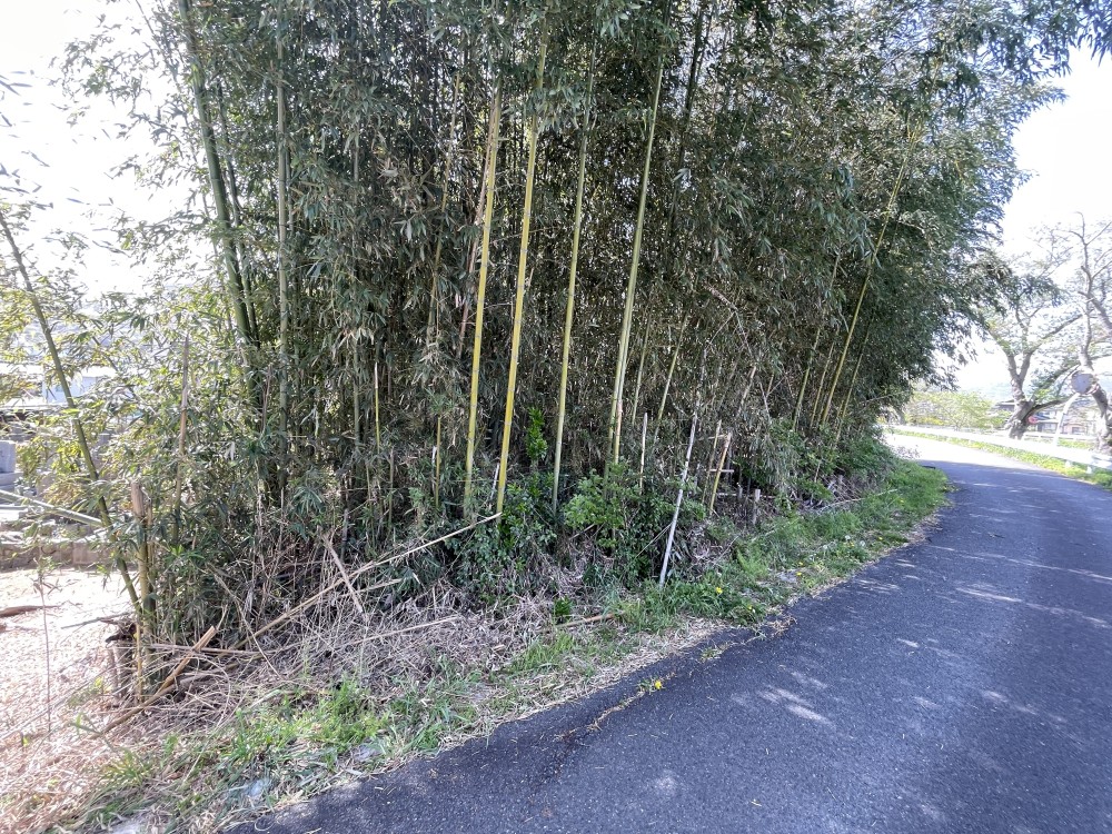 豊川市御油町 画像5