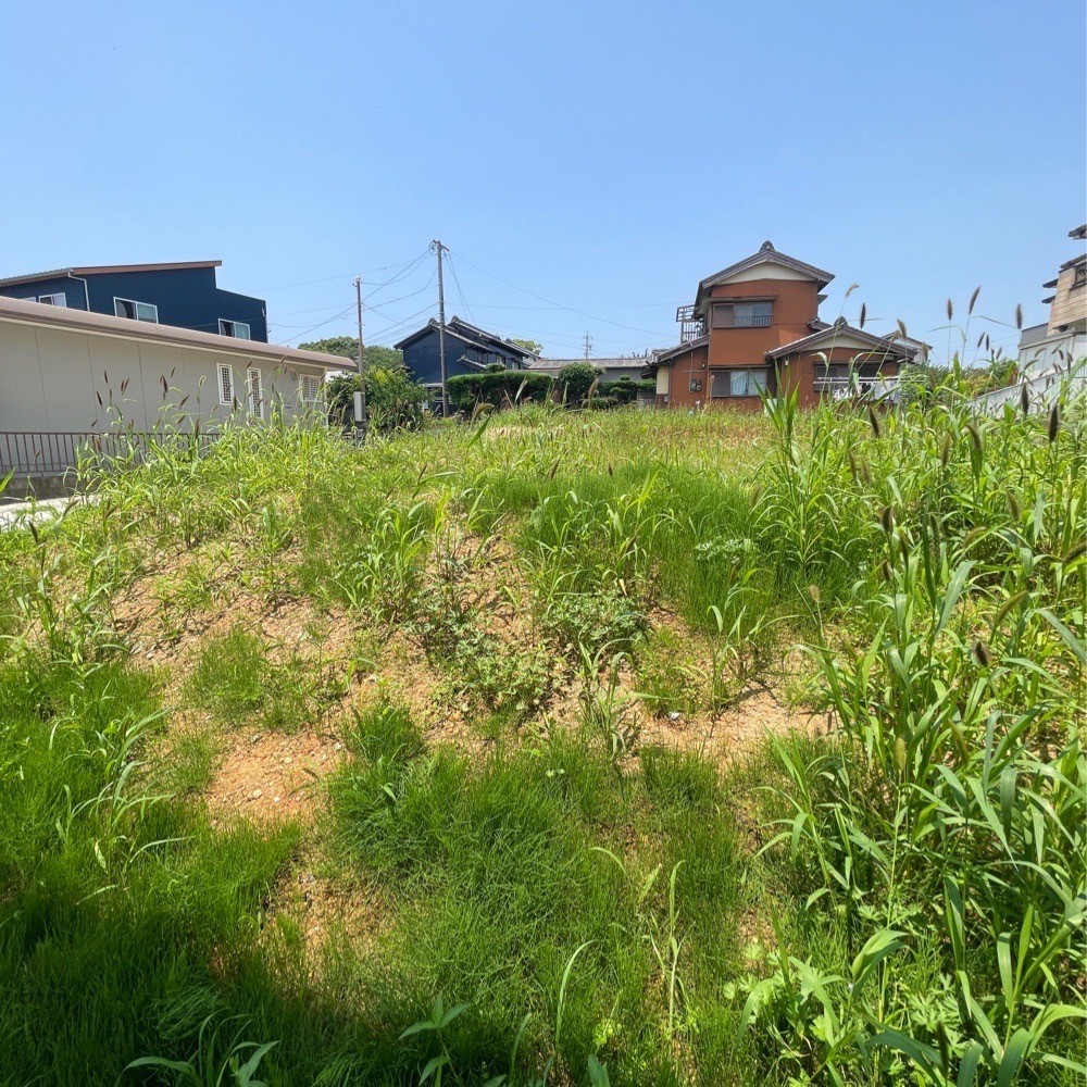 半田市乙川源内林町　全3区画　C区画 画像4