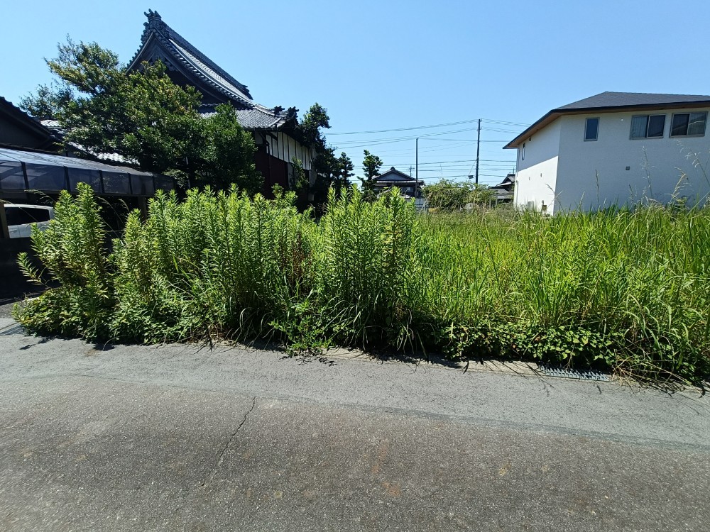 稲沢市木全　全4区画　A区画 画像3