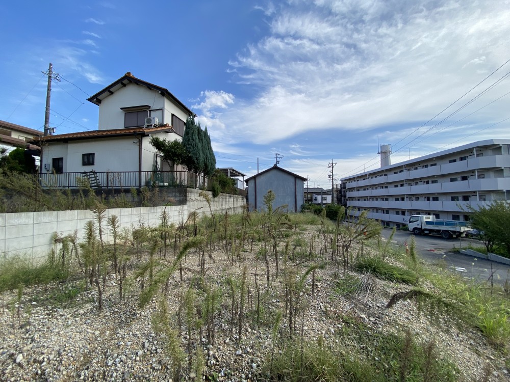 東海市名和町 画像5