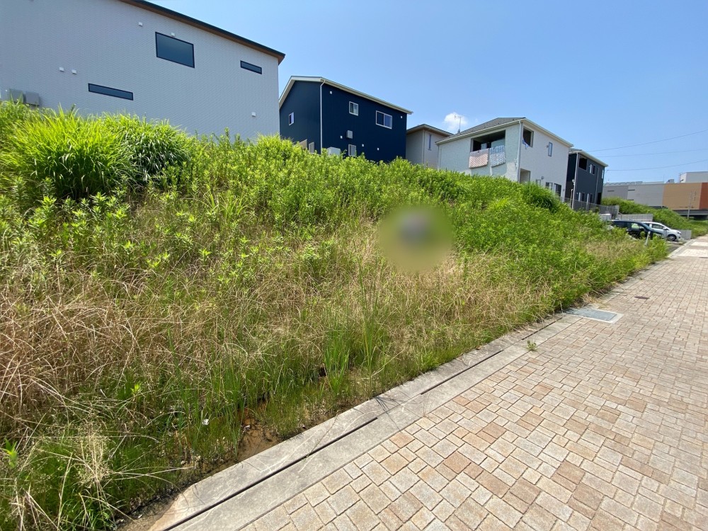 愛知郡東郷町大字春木　全3区画　D区画 画像4