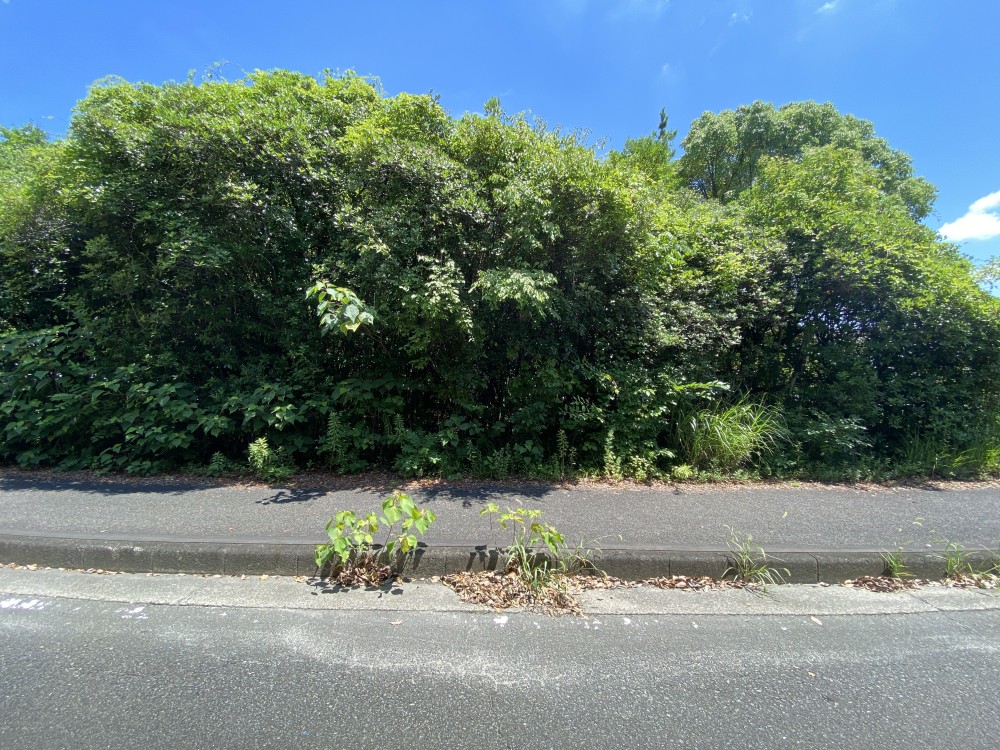 愛知郡東郷町北山台五丁目 画像5