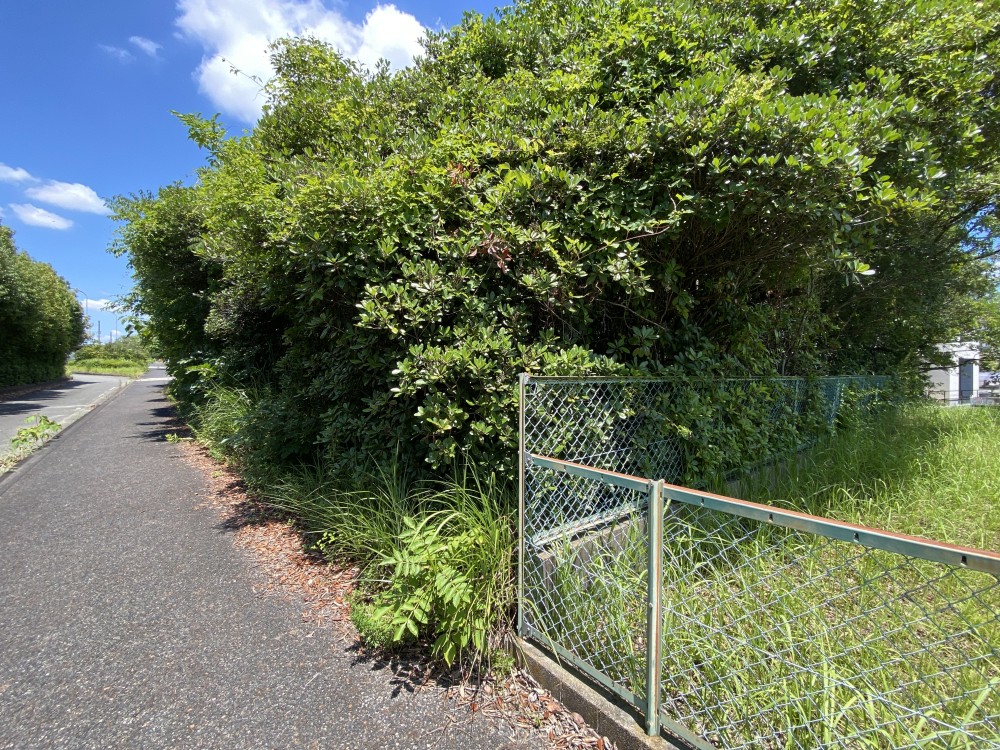 愛知郡東郷町北山台五丁目 画像4