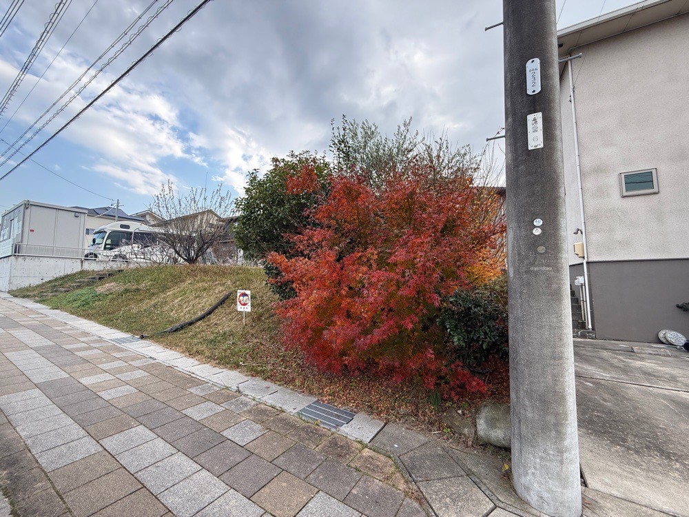 常滑市飛香台二丁目 画像4