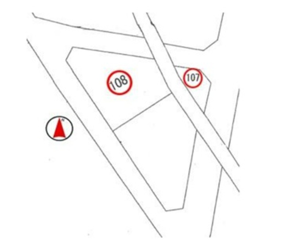 丹羽郡扶桑町斎藤緑 画像3