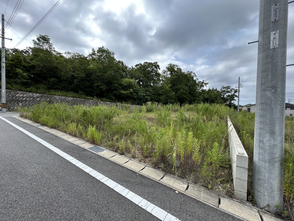 豊田市西中山町　全17区画　N-8区画 画像5