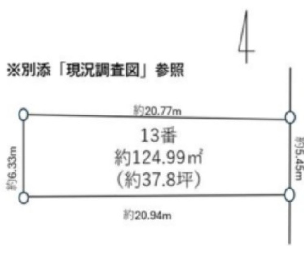 Tステージ日南公園スカイデイズ 画像1