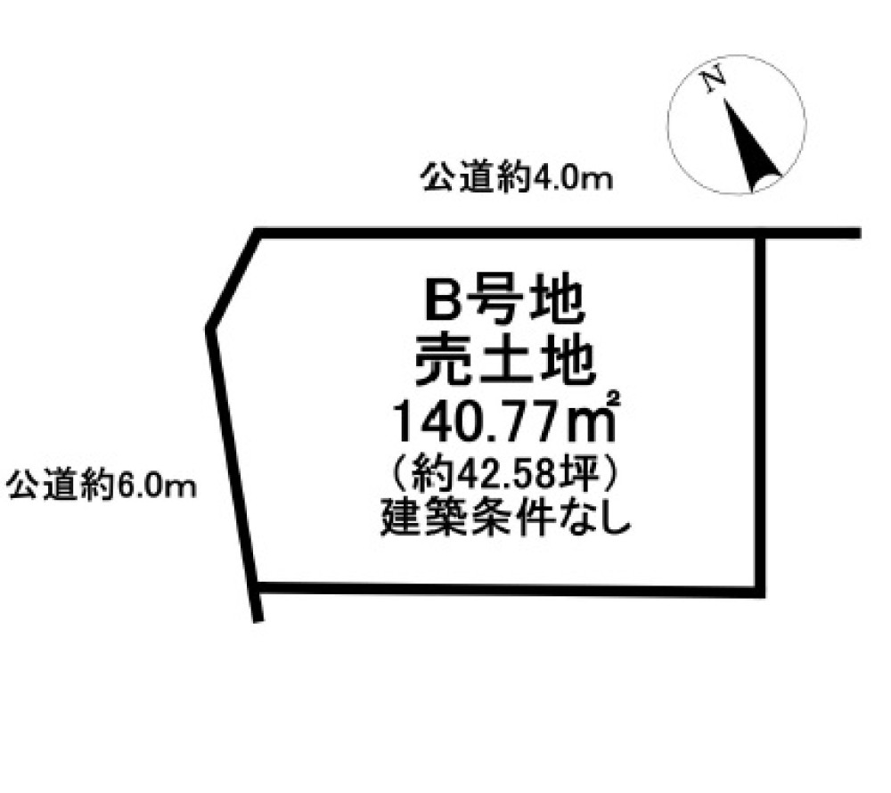大府市神田町三丁目　全2区画　B号地 画像7
