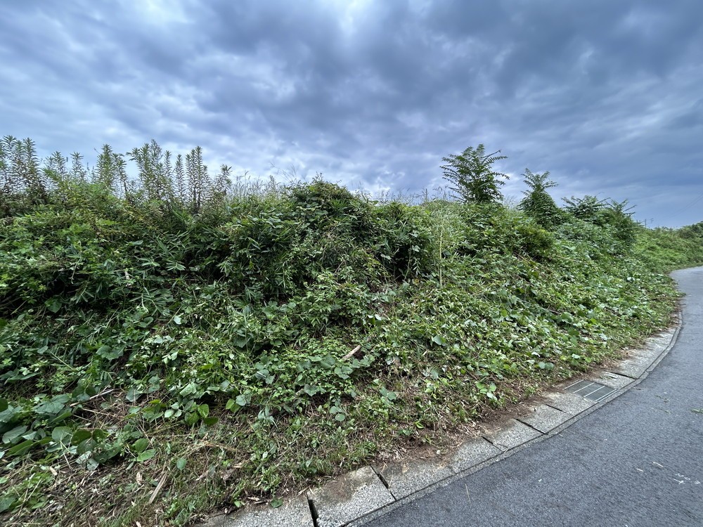 豊田市勘八町　全6区画　E区画 画像4