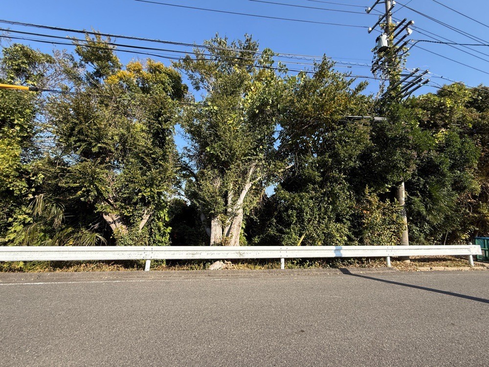 半田市亀崎高根町 画像3