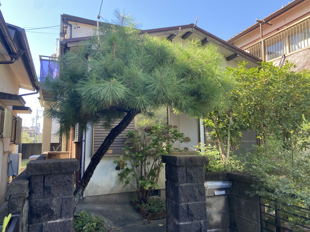 東海市加木屋町 画像4