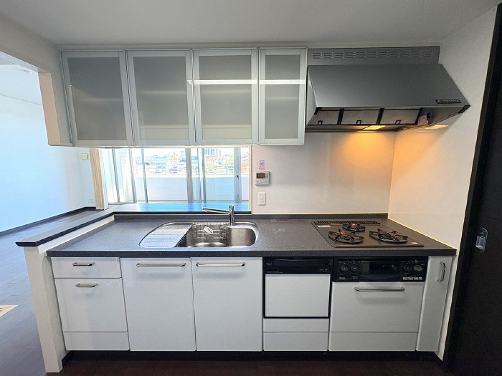 プレシアスシティ・ザ・シーズンズD棟 画像5