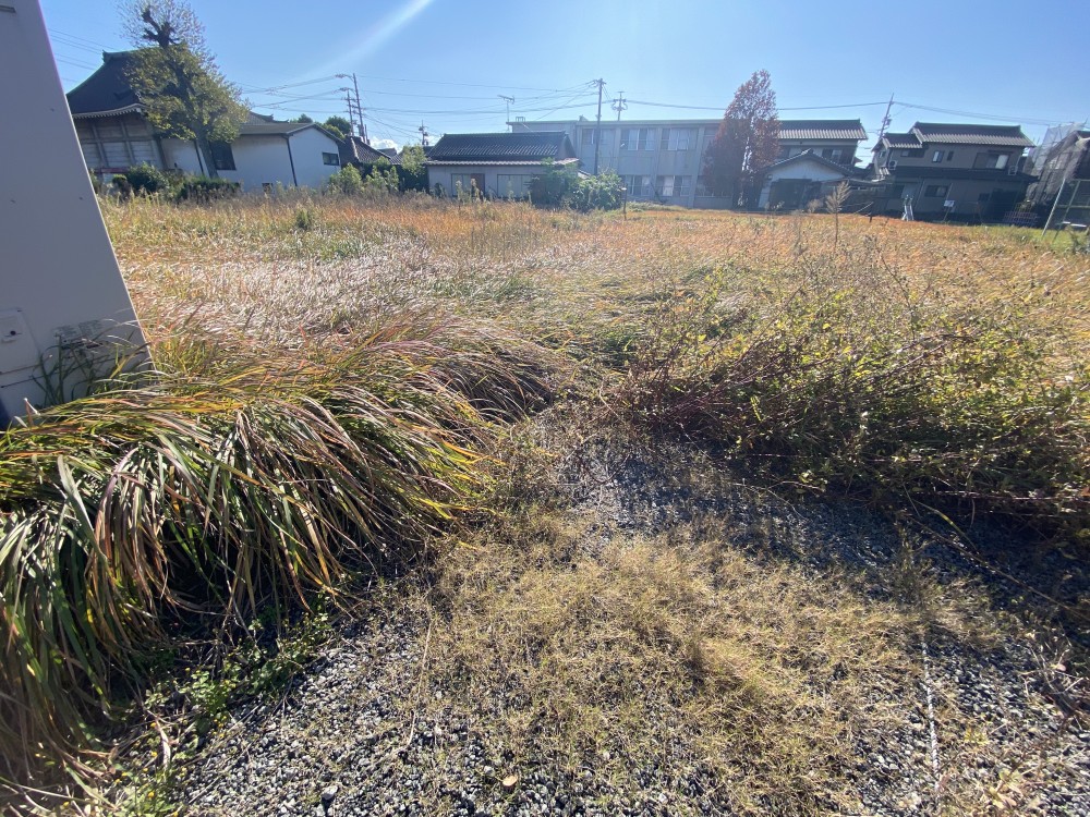 東海市養父町　2区画　B区画 画像5