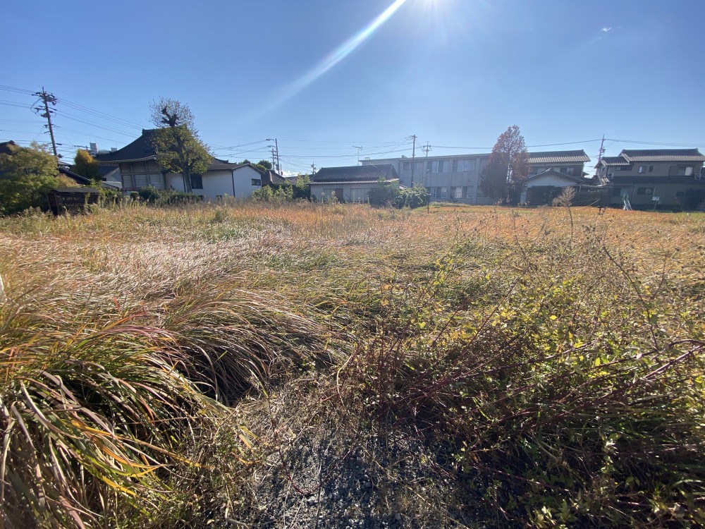 東海市養父町　2区画　B区画 画像5