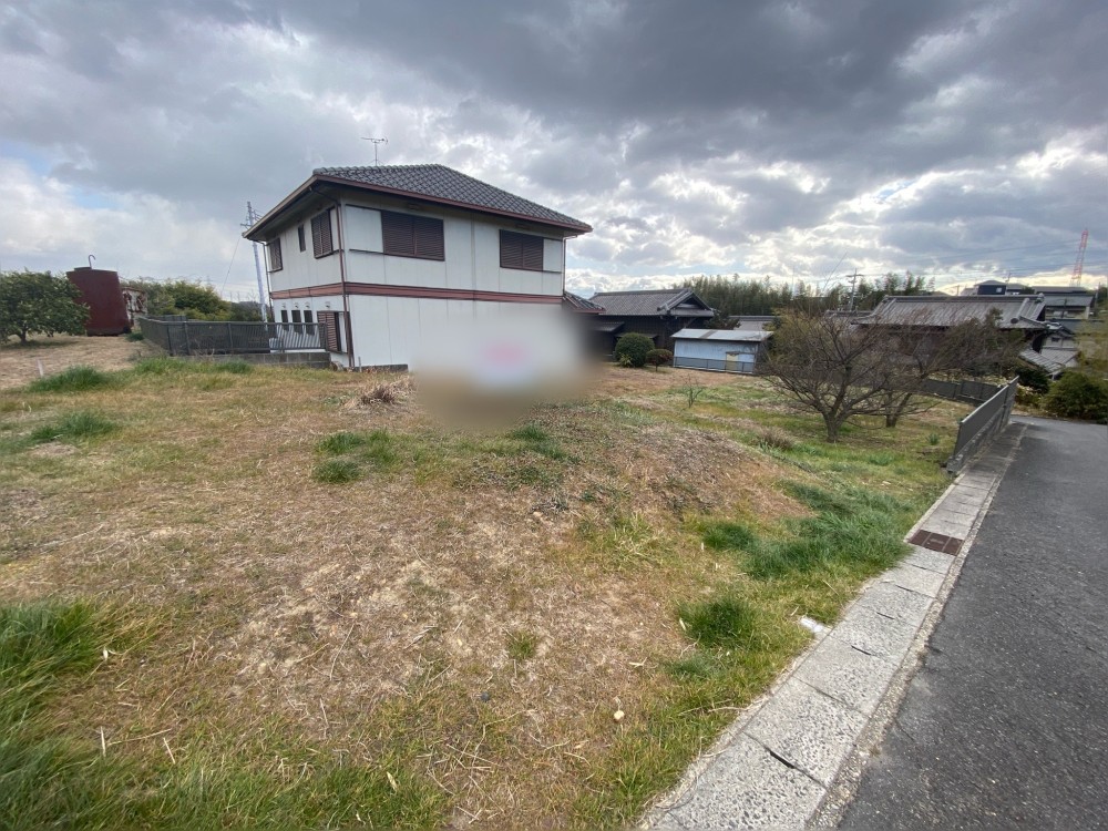 知多市八幡樹木 画像8