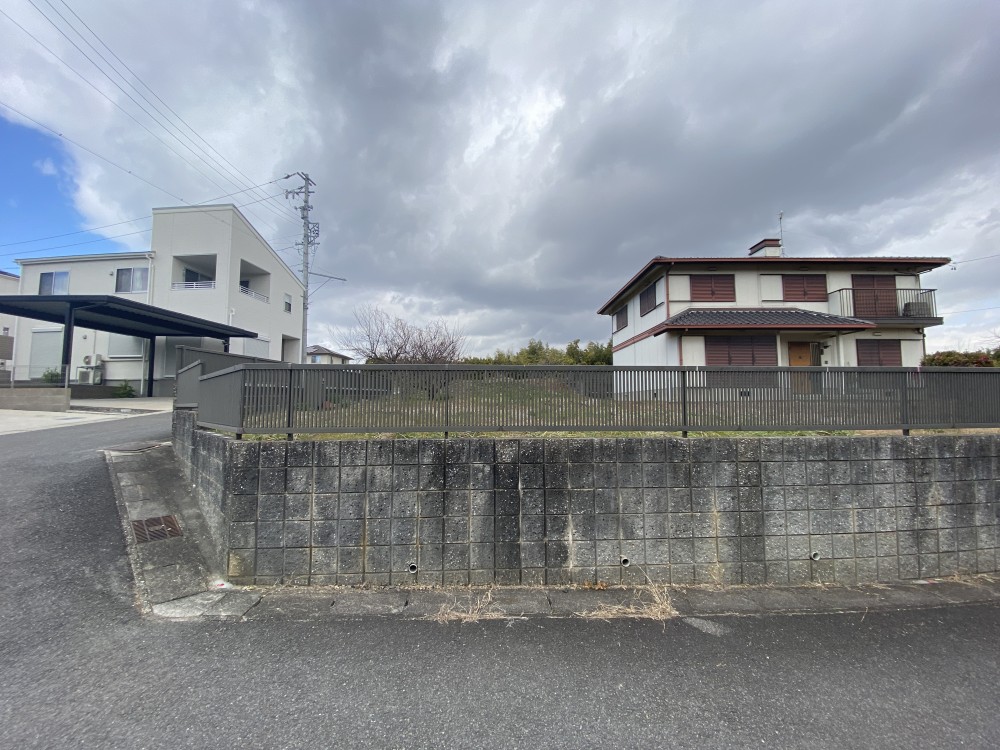 知多市八幡樹木 画像5