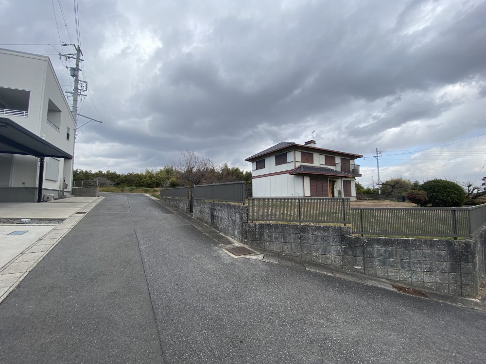 知多市八幡樹木 画像8