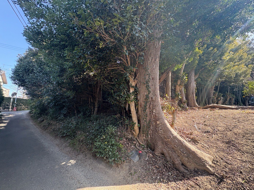 豊橋市王ケ崎町 画像4