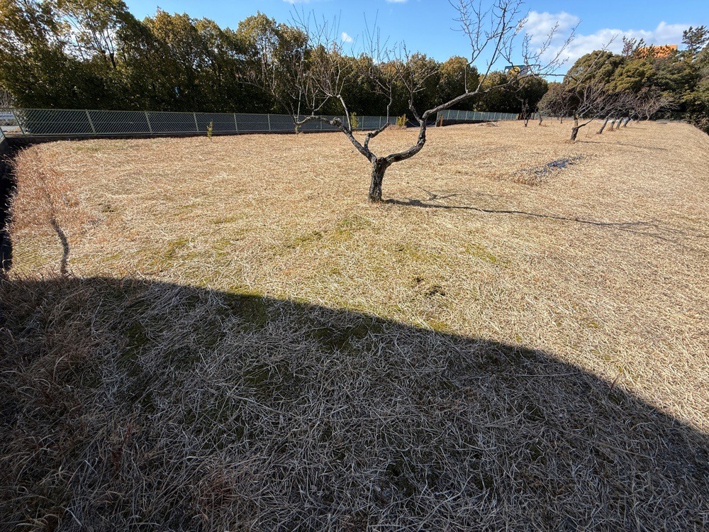愛知郡東郷町北山台五丁目 画像16