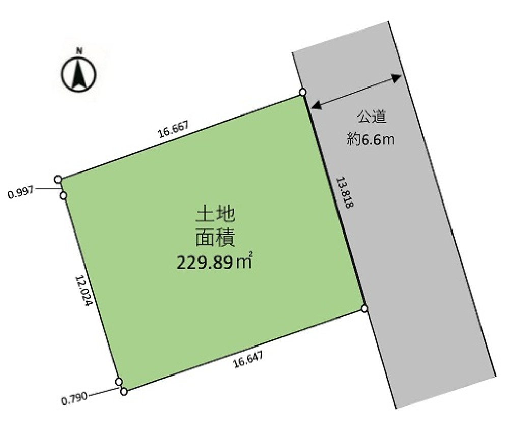 名古屋市緑区ほら貝 画像1