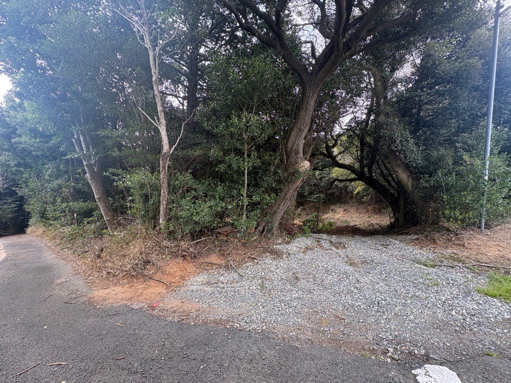 豊橋市西七根町 画像4