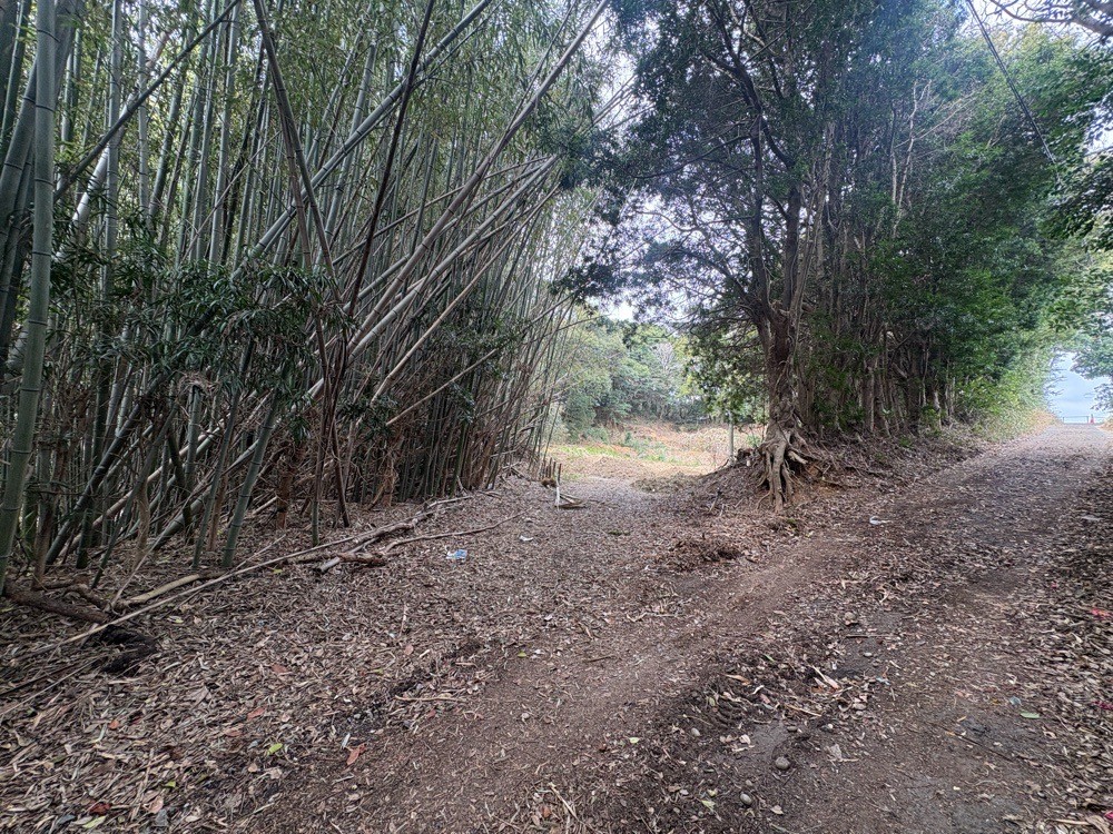 豊橋市西七根町 画像3