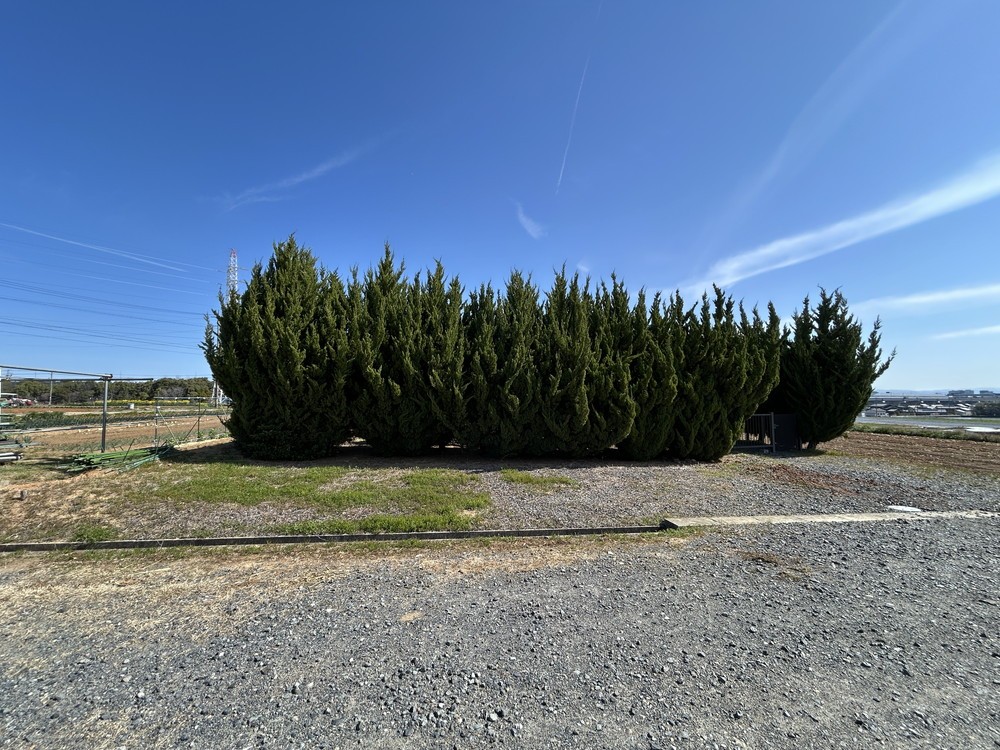 豊田市中田町 画像3