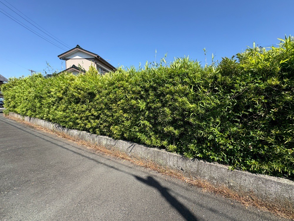 豊橋市向草間町　全2区画　2区画 画像3