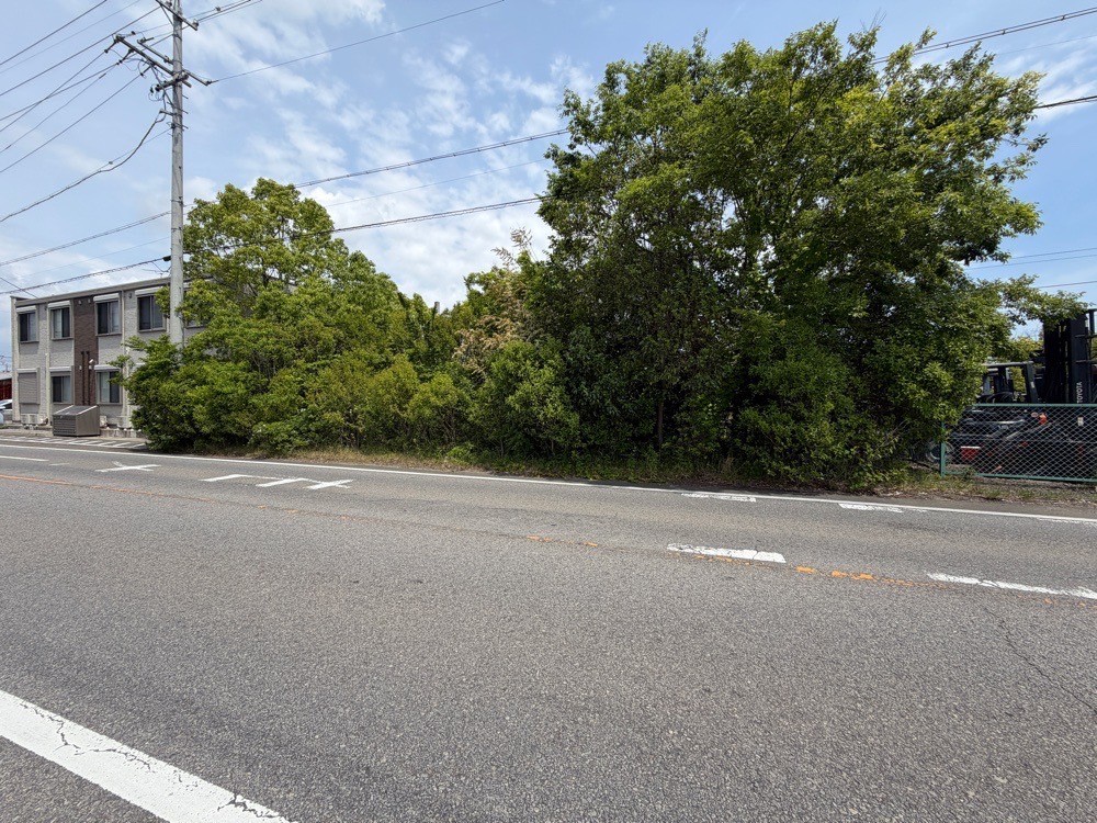 高浜市新田町 画像3