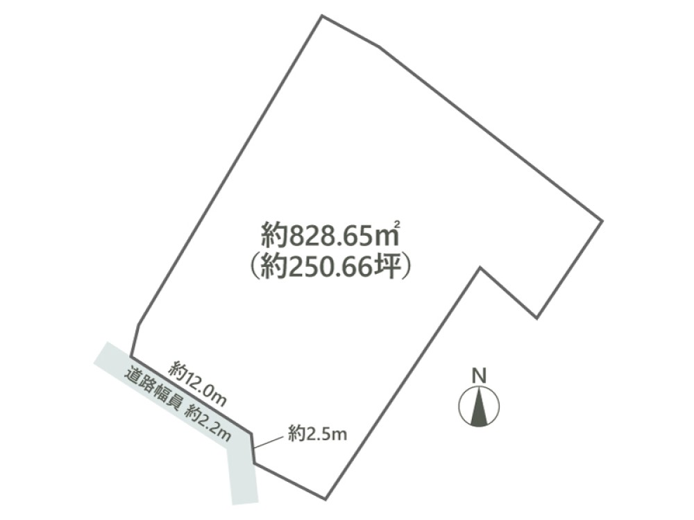 解体更地渡し！