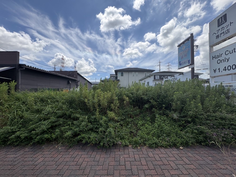 東浦町緒川平成 画像5