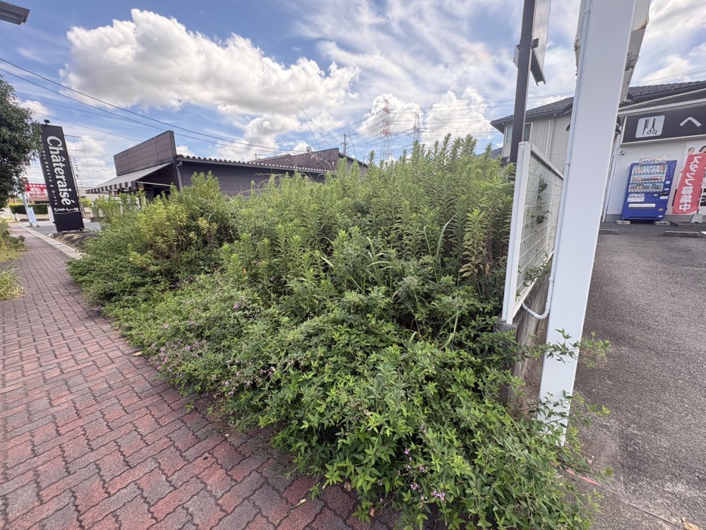 東浦町緒川平成 画像4