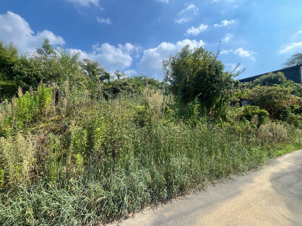 岡崎市細川町 画像5