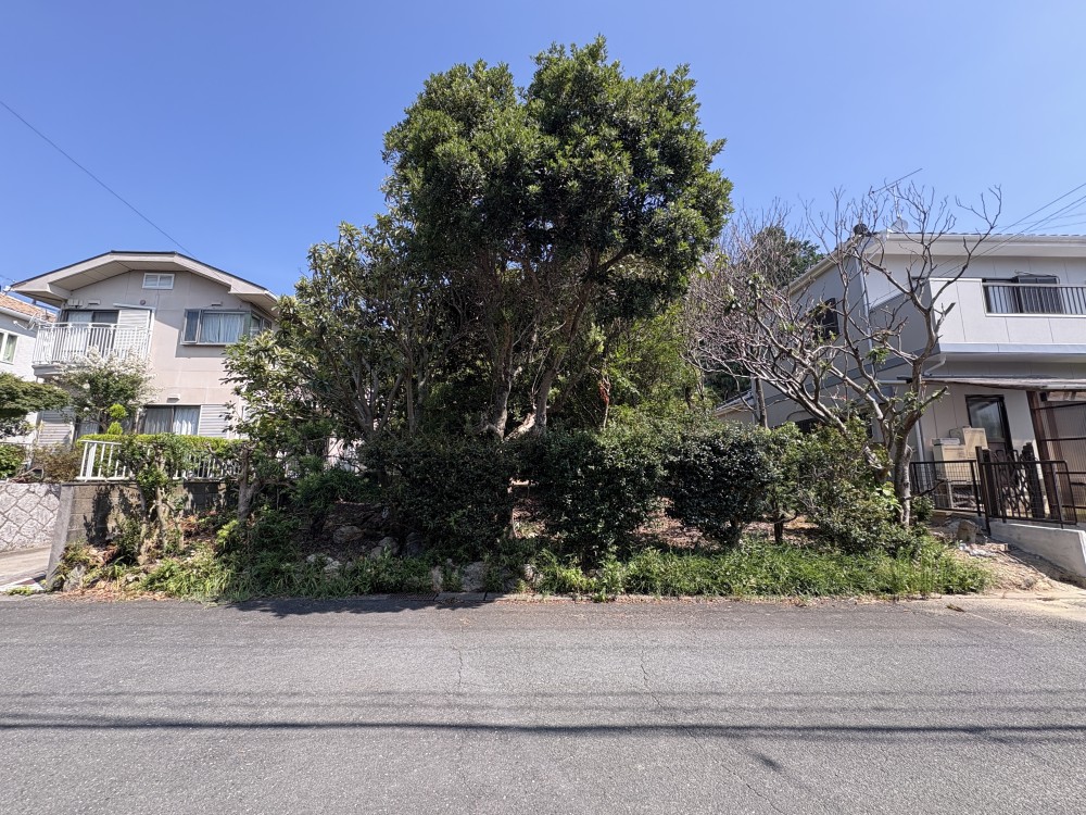 豊橋市多米中町二丁目 画像5