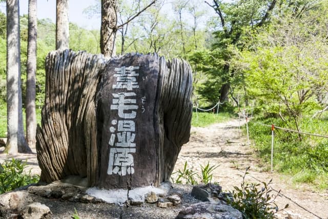 葦毛湿原画像